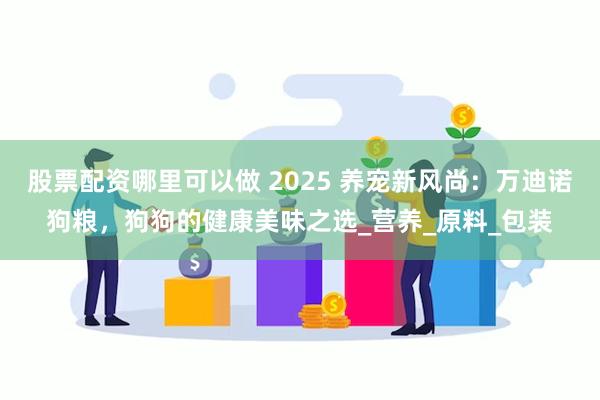 股票配资哪里可以做 2025 养宠新风尚：万迪诺狗粮，狗狗的健康美味之选_营养_原料_包装
