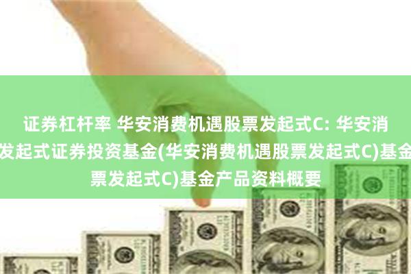 证券杠杆率 华安消费机遇股票发起式C: 华安消费机遇股票型发起式证券投资基金(华安消费机遇股票发起式C)基金产品资料概要