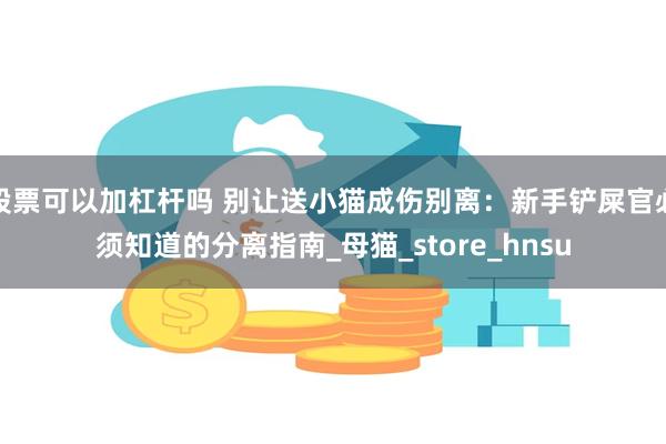 股票可以加杠杆吗 别让送小猫成伤别离：新手铲屎官必须知道的分离指南_母猫_store_hnsu