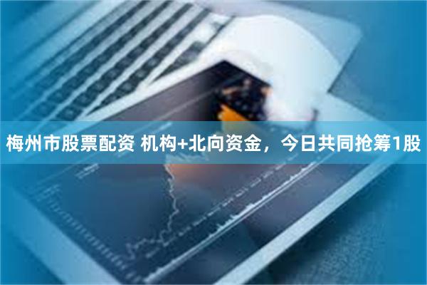 梅州市股票配资 机构+北向资金，今日共同抢筹1股