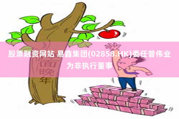 股票融资网站 易鑫集团(02858.HK)委任曾伟业为非执行董事