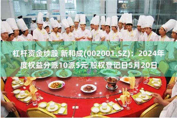 杠杆资金炒股 新和成(002001.SZ)：2024年度权益分派10派5元 股权登记日5月20日