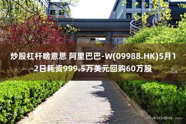 炒股杠杆啥意思 阿里巴巴-W(09988.HK)5月12日耗资999.5万美元回购60万股