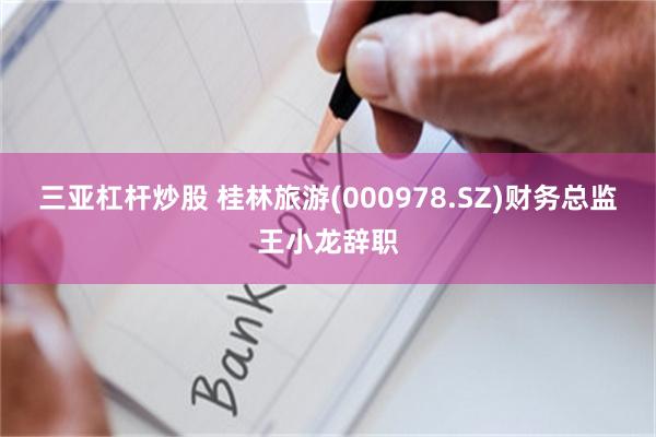 三亚杠杆炒股 桂林旅游(000978.SZ)财务总监王小龙辞职