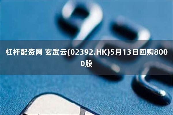 杠杆配资网 玄武云(02392.HK)5月13日回购8000股