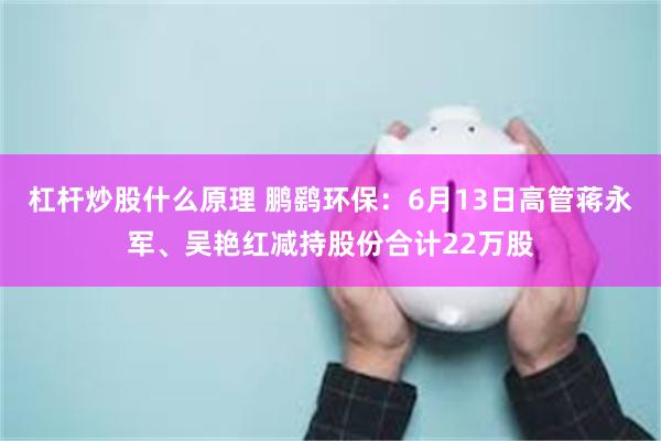 杠杆炒股什么原理 鹏鹞环保:6月13日高管蒋永军、吴艳红减持股份合计22万股