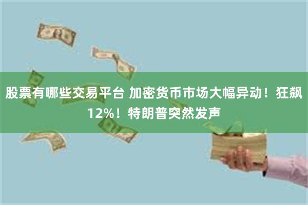 股票有哪些交易平台 加密货币市场大幅异动！狂飙12%！特朗普突然发声