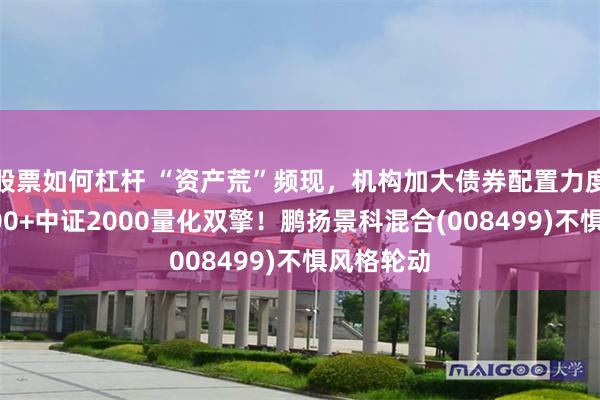 股票如何杠杆 “资产荒”频现,机构加大债券配置力度,沪深300+中证2000量化双擎!鹏扬景科混合(008499)不惧风格轮动