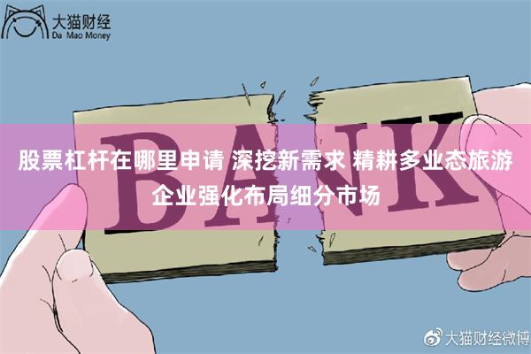 股票杠杆在哪里申请 深挖新需求 精耕多业态旅游企业强化布局细分市场