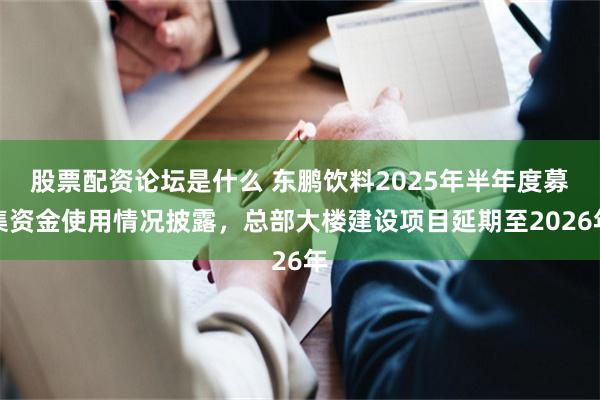 股票配资论坛是什么 东鹏饮料2025年半年度募集资金使用情况披露，总部大楼建设项目延期至2026年