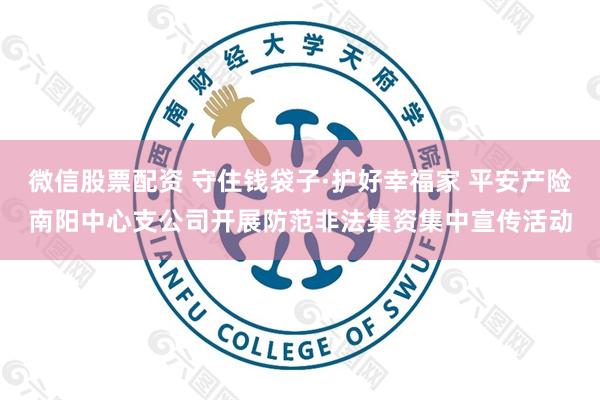 微信股票配资 守住钱袋子·护好幸福家 平安产险南阳中心支公司开展防范非法集资集中宣传活动