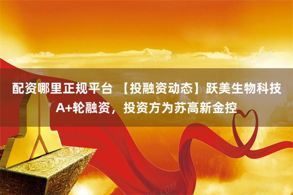 配资哪里正规平台 【投融资动态】跃美生物科技A+轮融资，投资方为苏高新金控