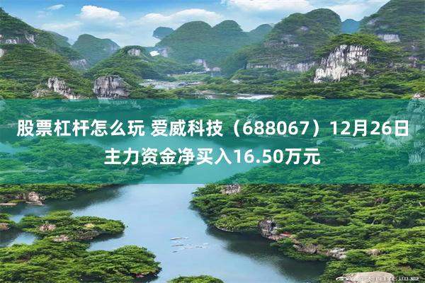 股票杠杆怎么玩 爱威科技（688067）12月26日主力资金净买入16.50万元