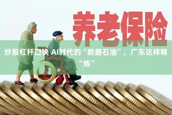 炒股杠杆口诀 AI时代的“数据石油”,广东这样精“炼”