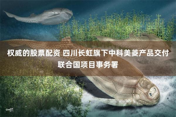 权威的股票配资 四川长虹旗下中科美菱产品交付联合国项目事务署