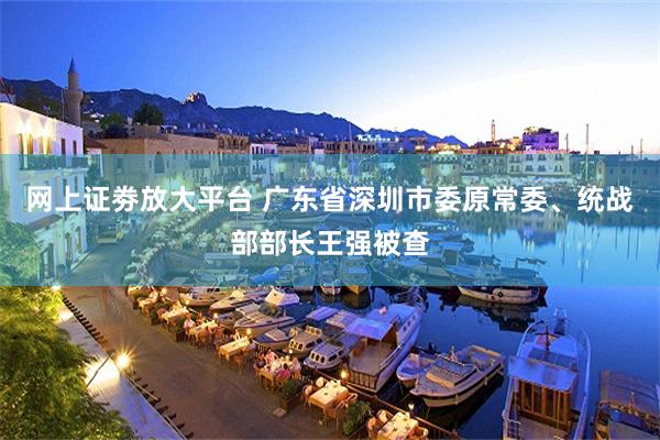 网上证劵放大平台 广东省深圳市委原常委、统战部部长王强被查