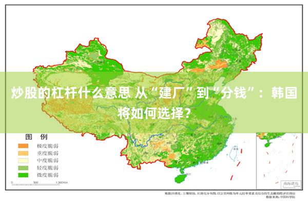 炒股的杠杆什么意思 从“建厂”到“分钱”：韩国将如何选择？