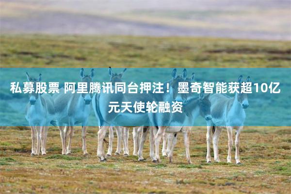 私募股票 阿里腾讯同台押注！墨奇智能获超10亿元天使轮融资