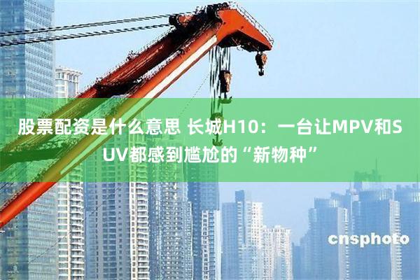 股票配资是什么意思 长城H10：一台让MPV和SUV都感到尴尬的“新物种”