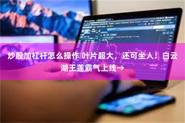 炒股加杠杆怎么操作 叶片超大,还可坐人!白云湖王莲霸气上线→