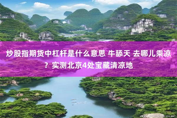 炒股指期货中杠杆是什么意思 牛舔天 去哪儿乘凉？实测北京4处宝藏清凉地