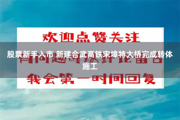 股票新手入市 新建合武高铁宋埠特大桥完成转体施工