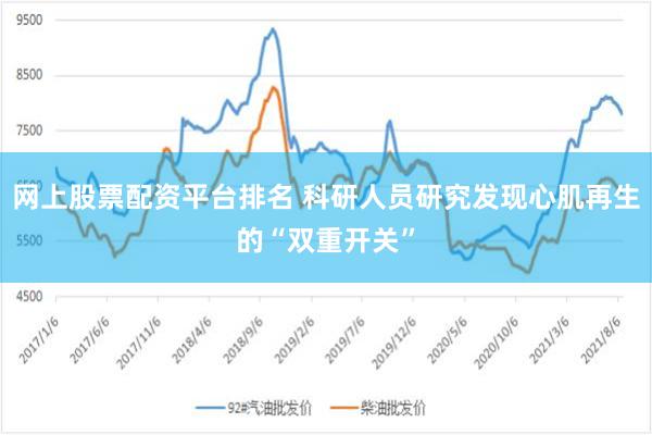 网上股票配资平台排名 科研人员研究发现心肌再生的“双重开关”