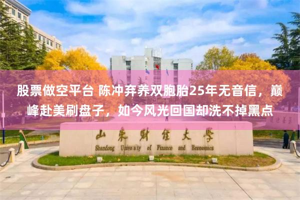 股票做空平台 陈冲弃养双胞胎25年无音信，巅峰赴美刷盘子，如今风光回国却洗不掉黑点